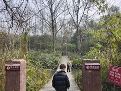 -桤木河湿地公园