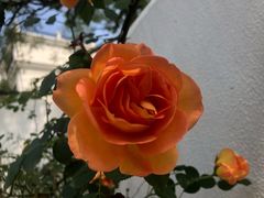 -几静cafe(基湖店)