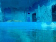 -多彩贵州城极地海洋世界