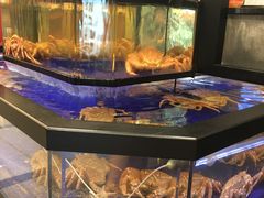 -蟹道乐(道顿堀本店)