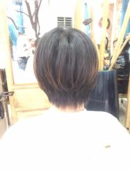 -渼树MSUTREE连锁沙龙