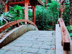 -深圳国际园林花卉博览园