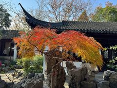-秋霞圃