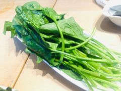 菠菜-湯系·煲汤手艺人(东二环泰禾广场店)