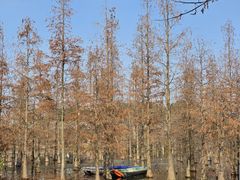 -白鹭湾湿地公园