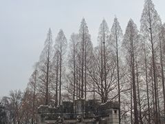 -音乐台