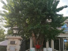 -天津五大道文化旅游区