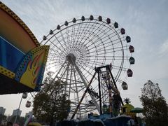 -洋湖国家湿地公园