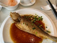 -皇朝会.经典传统粤菜(外滩店)