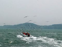 -海驴岛(荣成市)