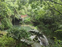 -宁波市保国寺古建筑博物馆