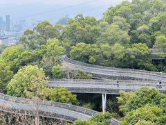 -福道