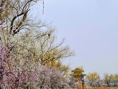 -颐和园