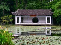 -杭州植物园