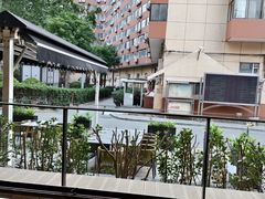 -the rug 飞毯 (朝阳公园店)