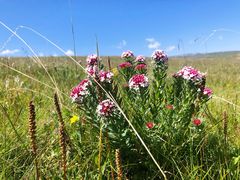 -青海湖国家重点风景名胜区