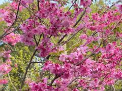 -梁鸿国家湿地公园