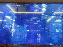 android_upload_pic-碧桂园凤凰城酒店(南京店)