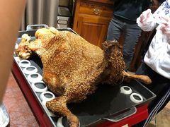 -九十九顶毡房(阜石路店)