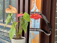 -陕拾叁-西安糕点(北院门创始店)