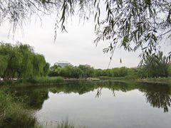 -满都海公园