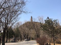 -北坞公园