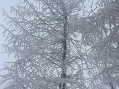 -西岭雪山大飞水景区