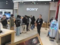 -Sony Store索尼(深圳深业上城店)