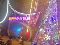 -枫花园汽车电影院(朝阳公园店)