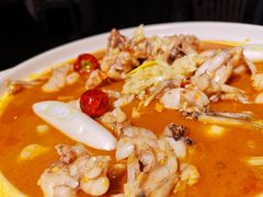 老坛泡椒牛蛙煲-付掌柜在成都·热炒砂锅集(金禾店)