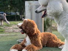 -爪吧宠物乐园 (温榆河示范区店)