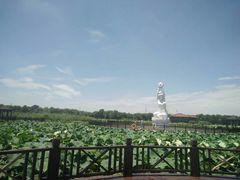 -荷塘月色湿地公园·向阳花洲