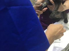 -诺比宠物医院心脏内科·泌尿肾内外科·骨科急重症