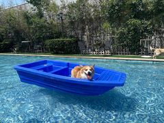 -汪说喵讲宠物乐园宠物酒店(红星美凯龙店)