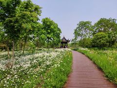 -南湖湿地公园