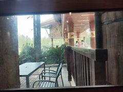 -上海野生动物园老虎餐厅