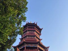 -厦门园林博览苑