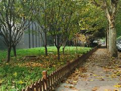 -河南财经政法大学(郑东校区)