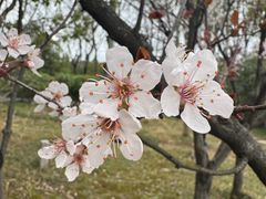 -长广溪湿地公园