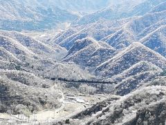 -大岭沟猕猴桃谷风景区