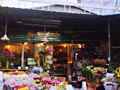 -曲阳花鸟市场(曲阳路店)