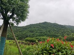 -北仑森林植物园