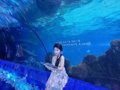 -重庆欢乐海底世界