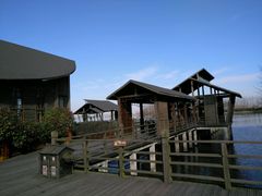 -溱湖国家湿地公园