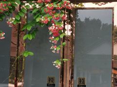 -荔湾湖公园