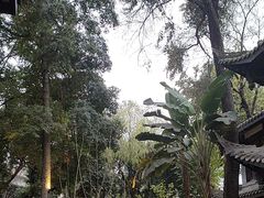 -大妙火锅·非物质文化遗产(东湖公园店)