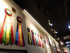 -猫十亿·布偶金渐层·曼基康矮脚猫舍(青年路店)
