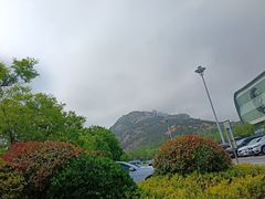 -融创茂(青岛店)