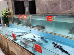 水产区-饭怕鱼(阳光100店)