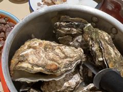 -潮庭·大连海鲜·炭火烧烤·扇贝王(大连店)